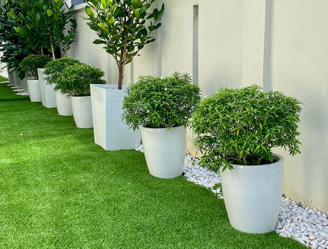 Professional landscaping services